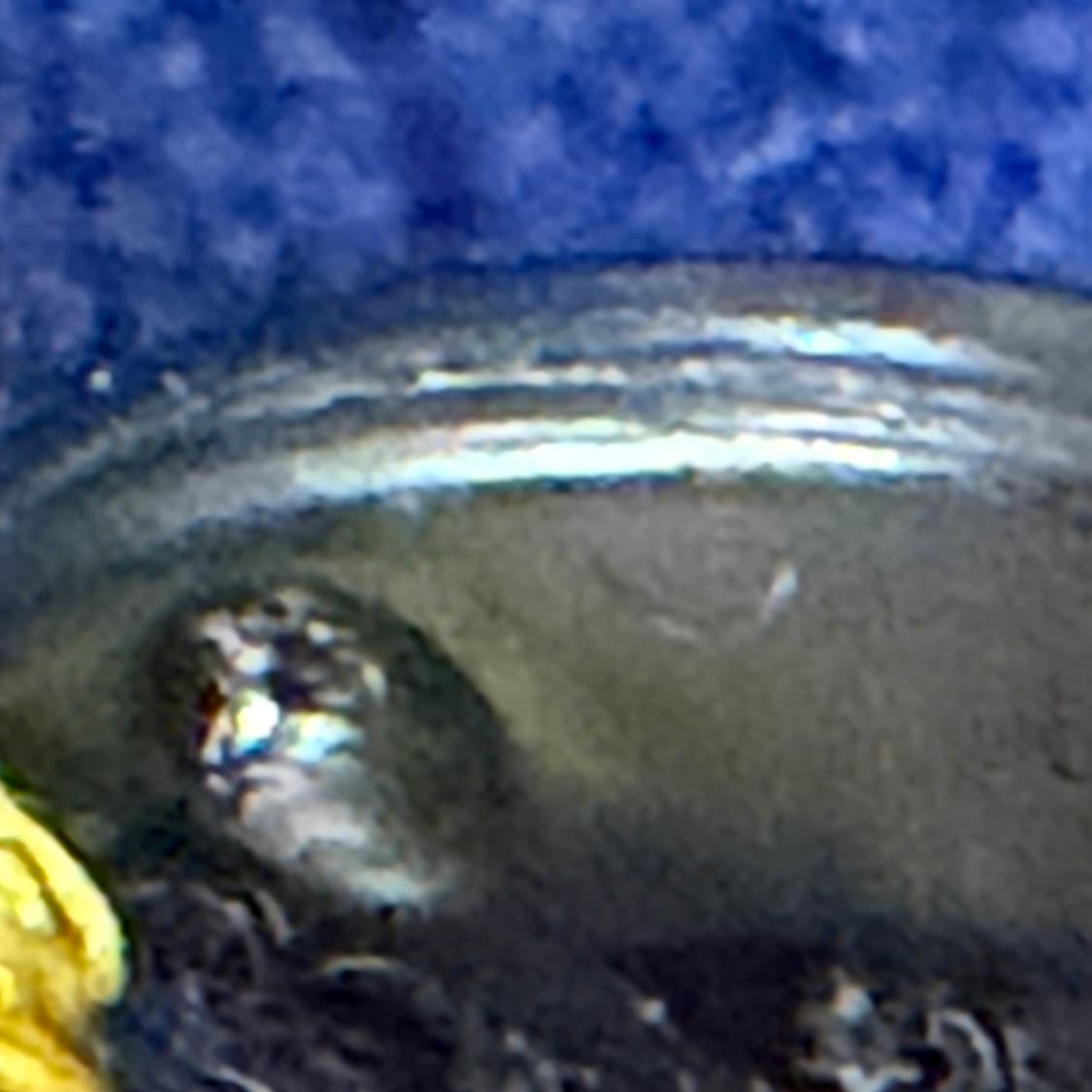 Stone island 블루 크루넥 울 니트 상품이미지8