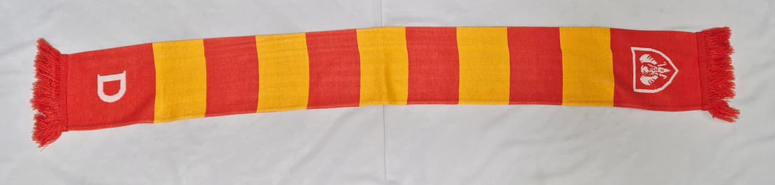 동국대학교 응원 머플러 팝니다  상품이미지2