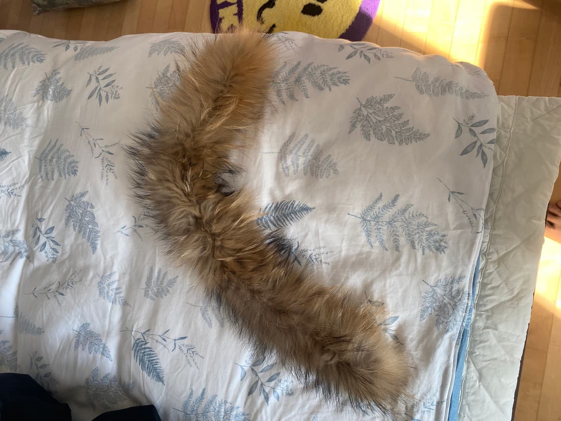 Danton 후드패딩 판매합니다 상품이미지8