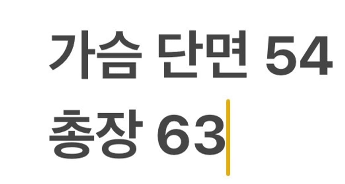 [정품/M] 나이키 브라운 바람막이 자켓 b10 상품이미지8