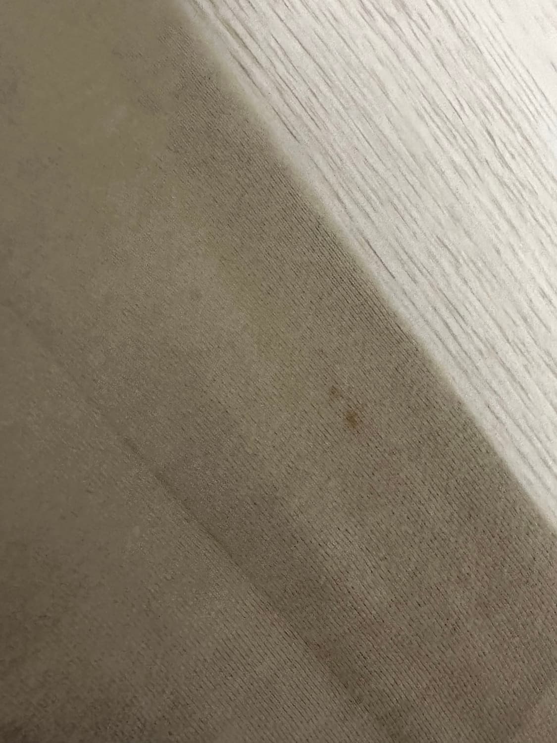 마크제이콥스 기모 자켓 상품이미지4