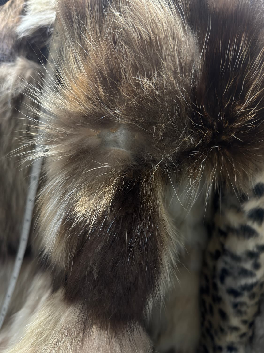 sardnyh fur jacket 상품이미지10