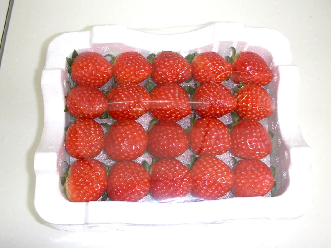 y2k 고전키티 카메라 도시바 소라 Toshiba sora PDR-T15 상품이미지8