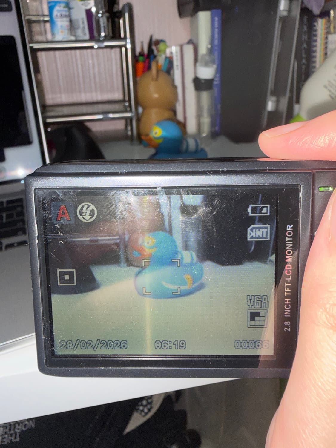 Rollei Compactline 롤라이 컴팩트라인 82 블랙 상품이미지8