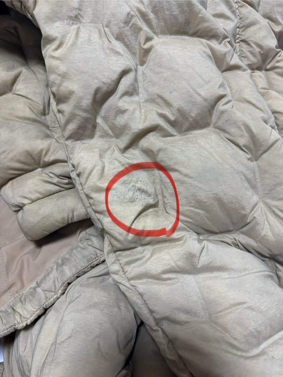 palace 22fw 퍼텍스 워크 다운 상품이미지8