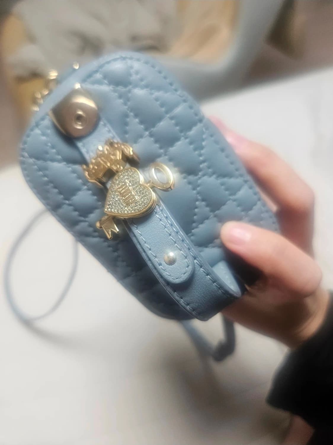 디올 마이크로 베니티 백 상품이미지2