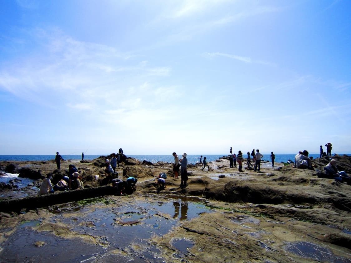 캐논 익서스 Canon IXUS 210 핑크(익시 10S) 상품이미지4