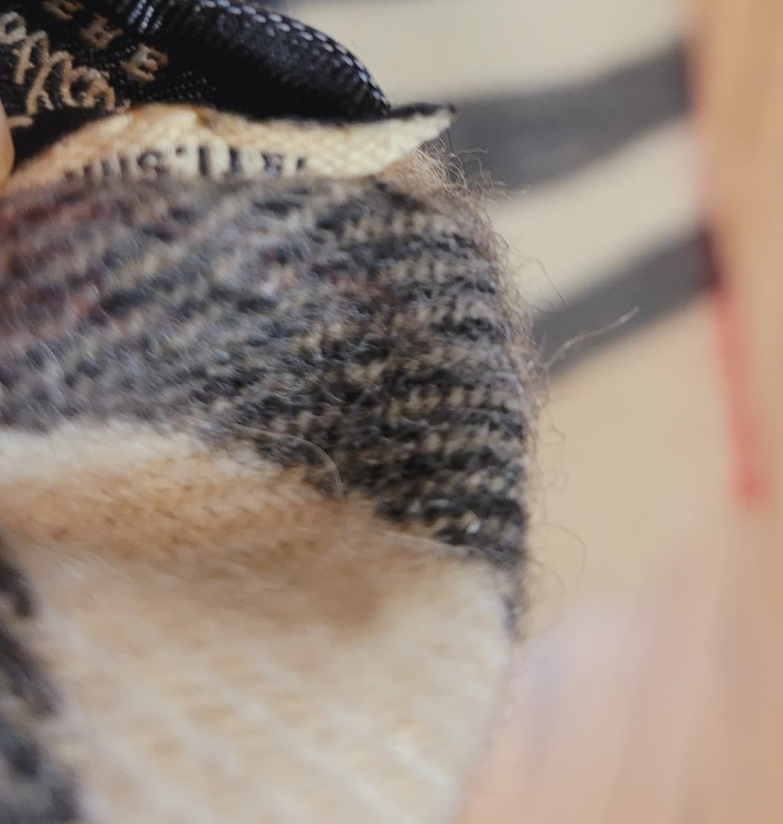 버버리 캐미시어 노바체크 머플러 상품이미지3