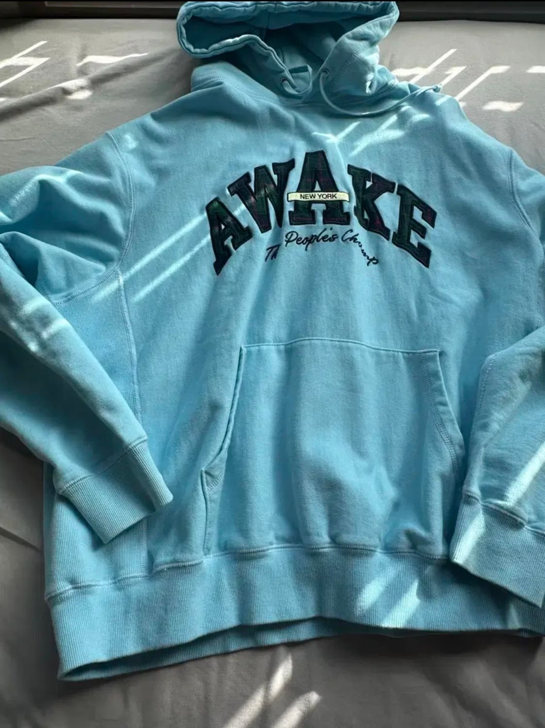 (L) 어웨이크 뉴욕 민트 후드티 상품이미지2