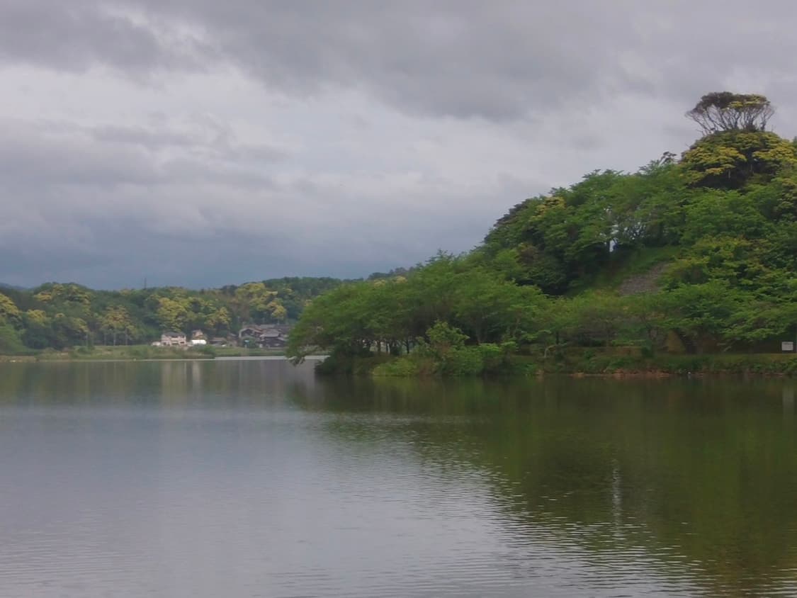 [작례/바로 사용] 산요 작티 DMX-CG9 레드 디카 캠코더 상품이미지8