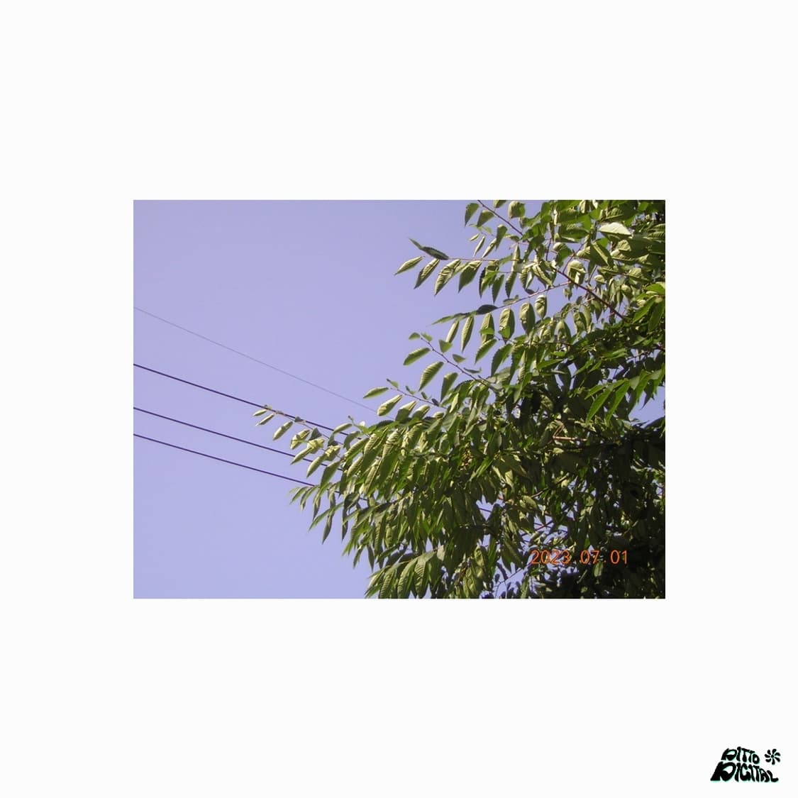 Nikon Coolpix 2200 디카 상품이미지8