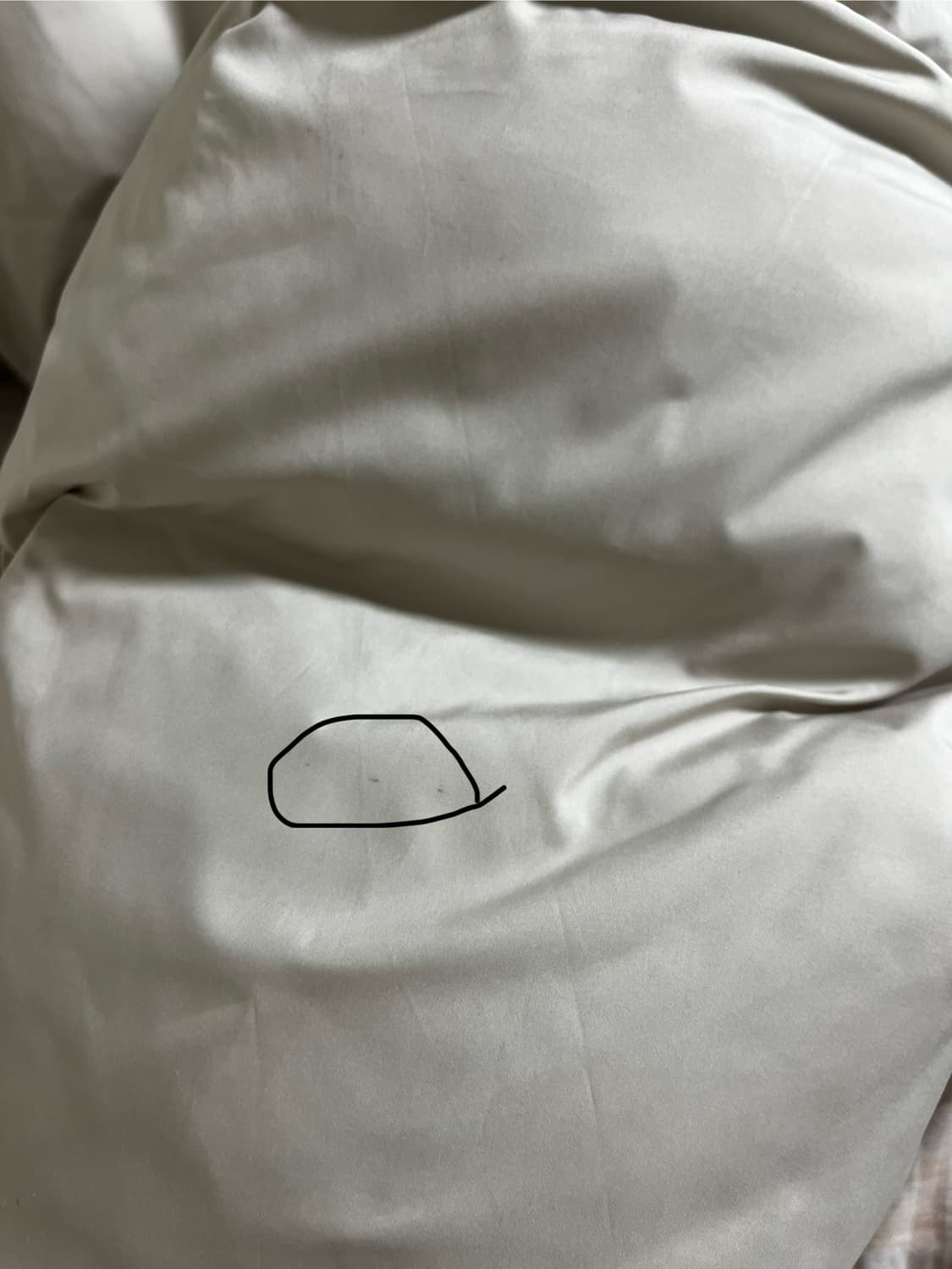 아모멘토 후디드 다운 푸퍼 패딩 에크루 상품이미지10