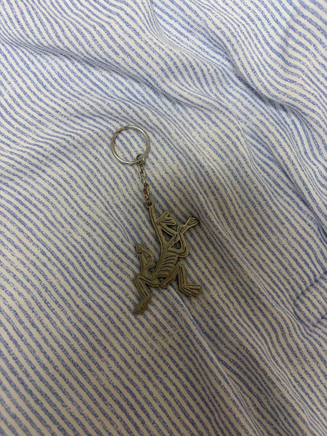 아크테릭스 키링 상품이미지2