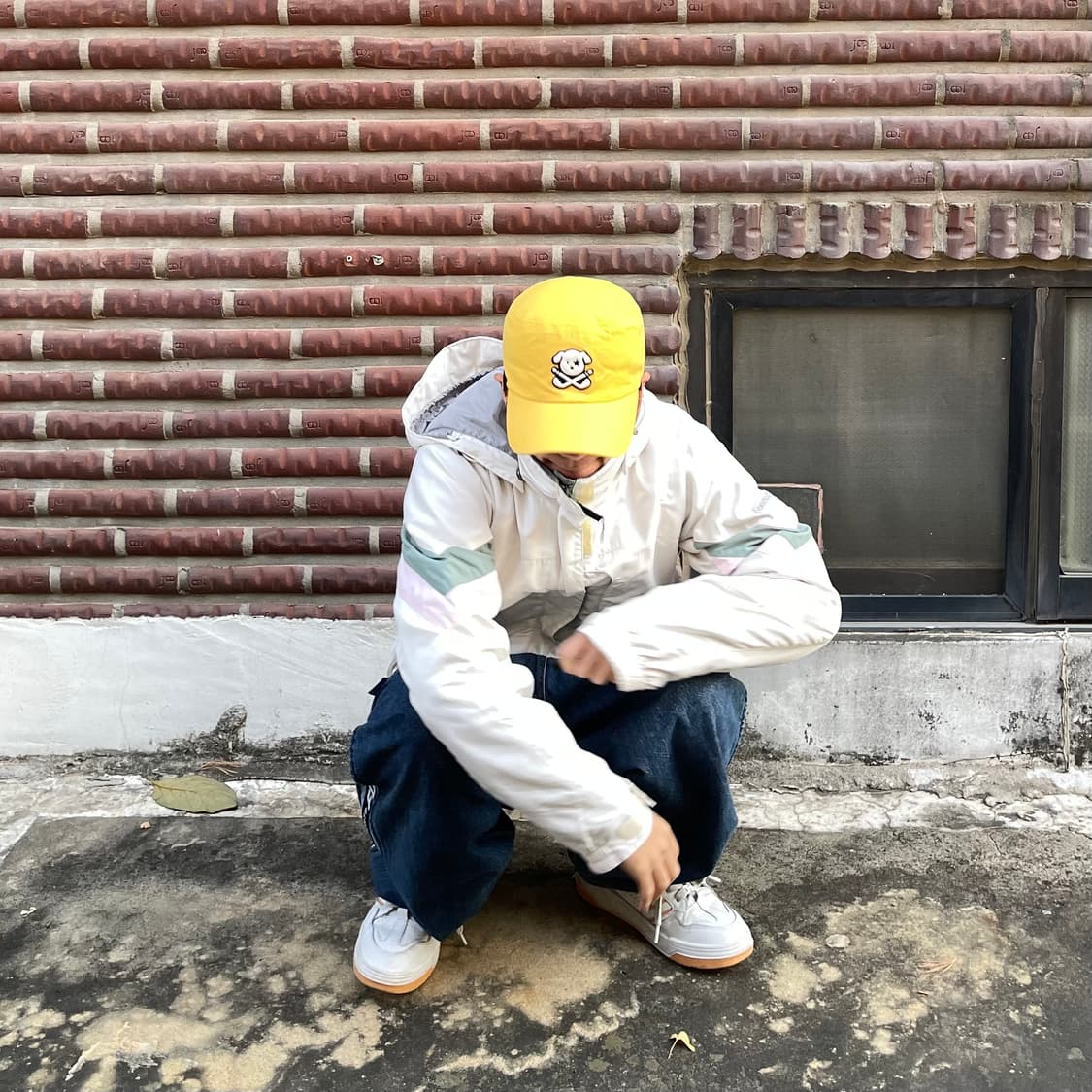 파사디 강아지 옐로우 캡 상품이미지1