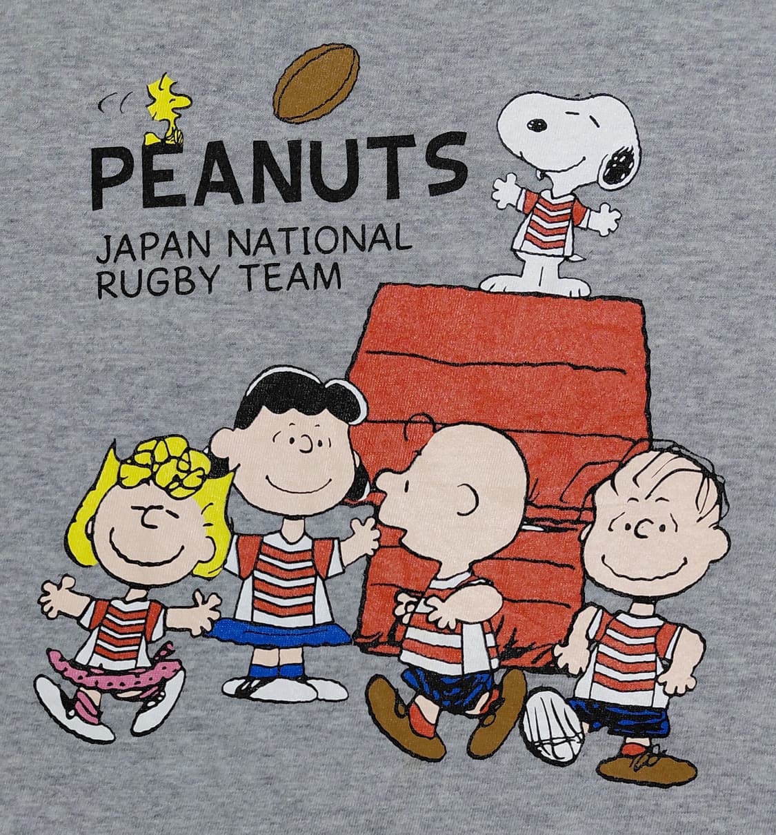 [희귀] Canterbury x Peanuts 일본 럭비 국대 콜라보티 상품이미지9