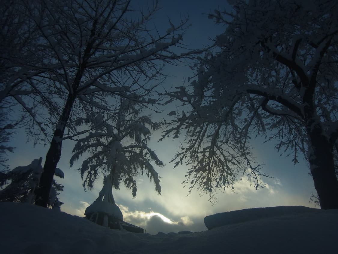 Ricoh px 디카 상품이미지2