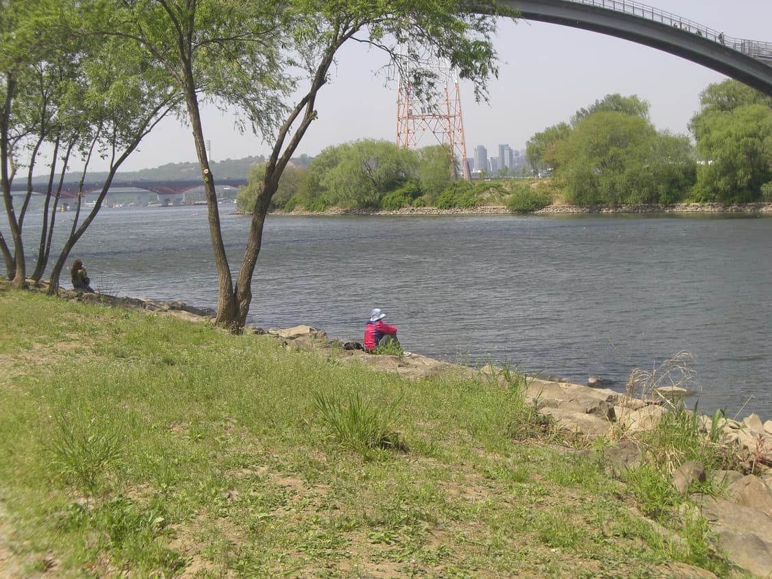 [작례있음] 카시오 Z700 / 아련분위기 상품이미지6