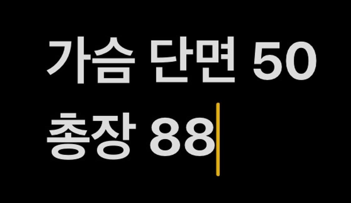 [ 정품/XS ] 쟈딕앤볼테르 멀티포켓 야상 자켓 b16 상품이미지8