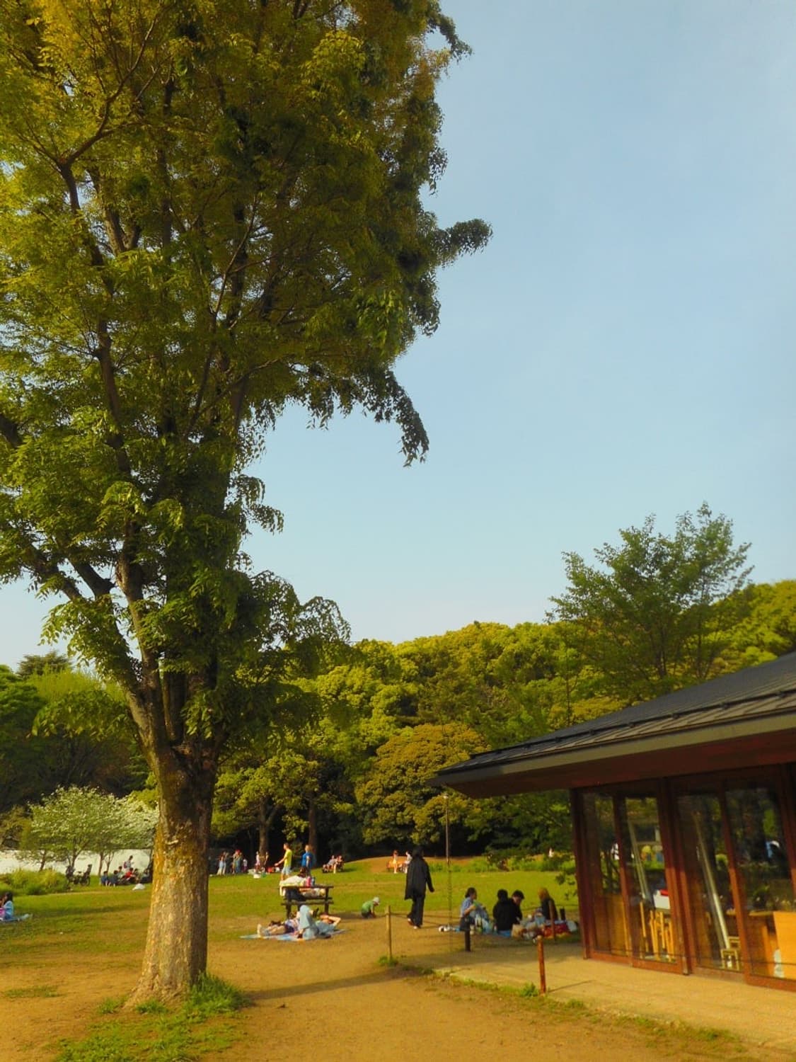 니콘 쿨픽스 s3600 💙 Nikon coolpix 상품이미지3