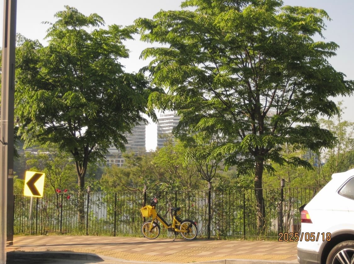 캐논 익서스 90IS 미우미우 디카 작례O 상품이미지7