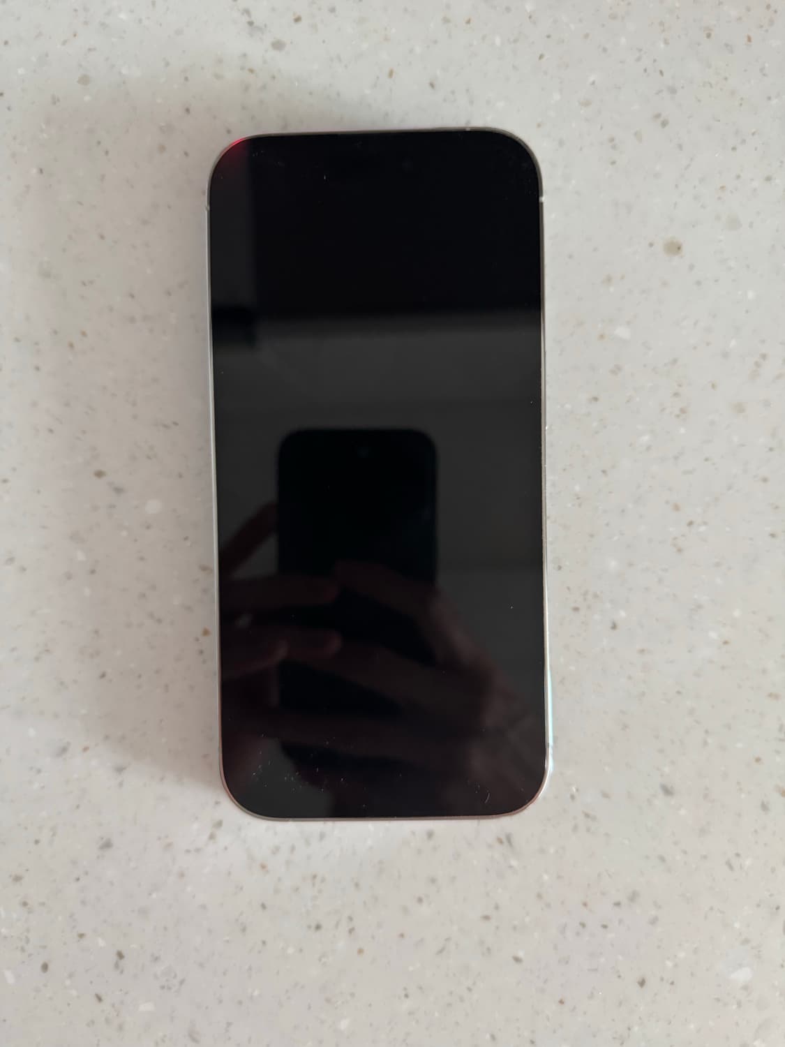 Apple 애플 아이폰 14 Pro 실버, 1TB  상품이미지3