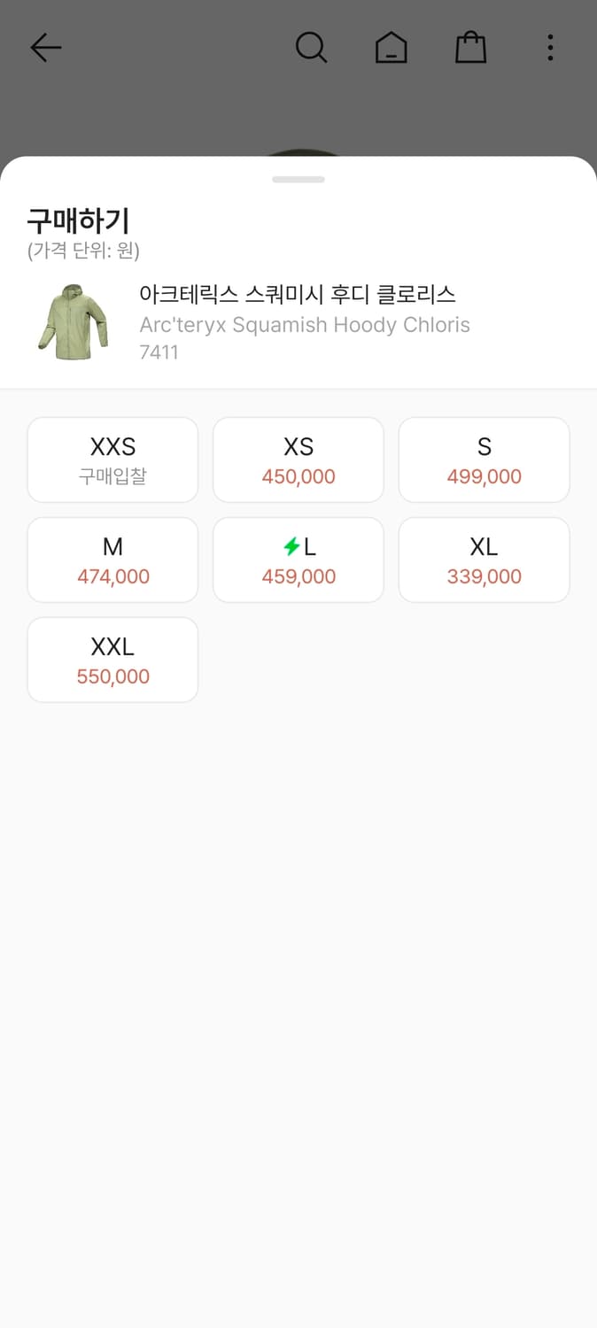 아크테릭스 스쿼미시 상품이미지3