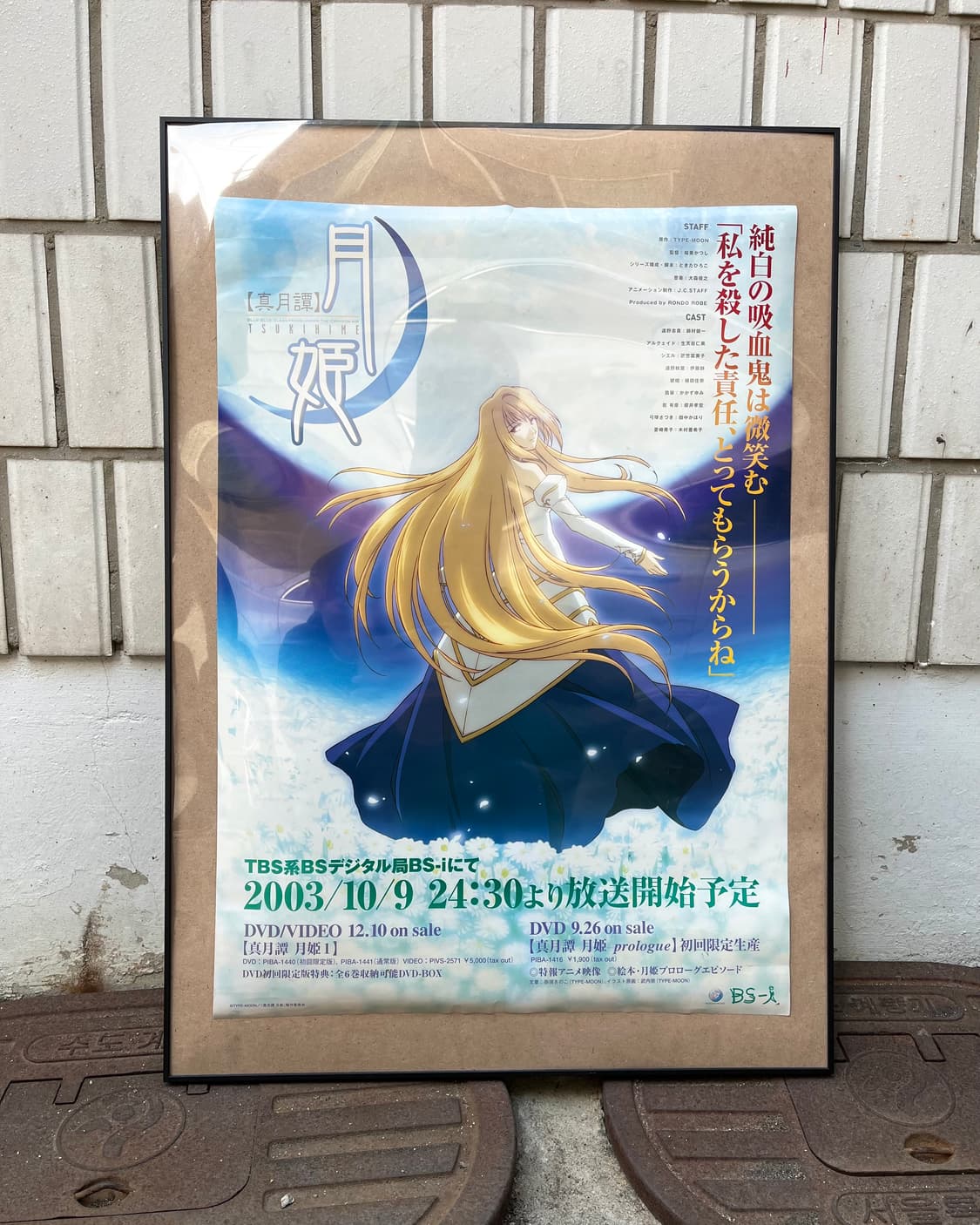 진월담 월희 (真月譚 月姫) | 공식 애니메이션 홍보 포스터 상품이미지1