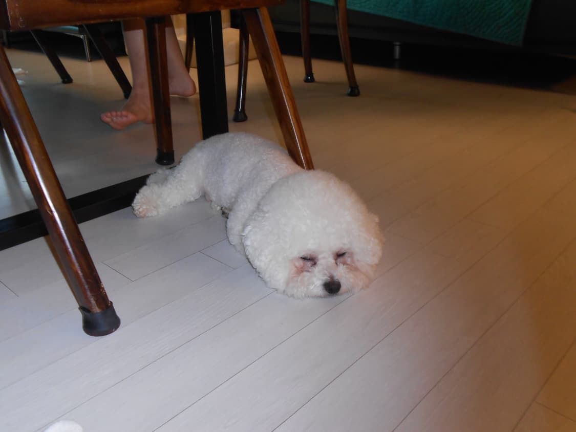 📸Nikon coolpix s2600 니콘 쿨픽스 (☁️뽀용색감) 상품이미지3