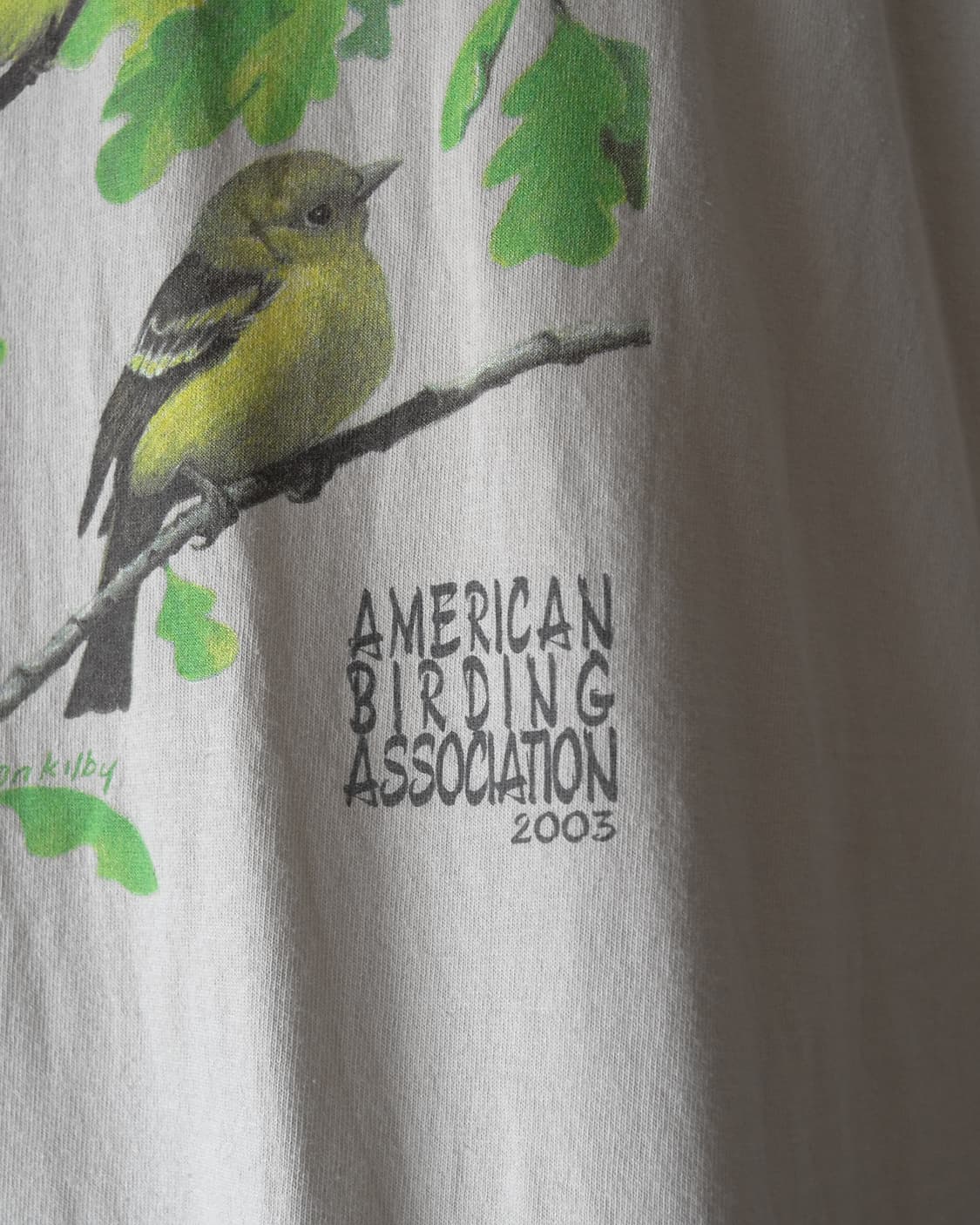 00s Gildan 상품이미지3