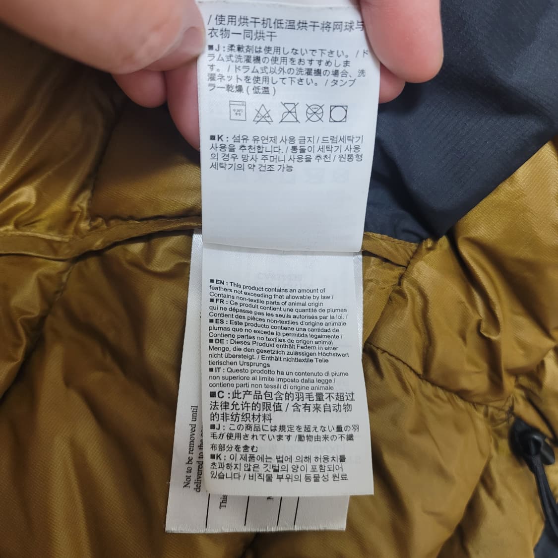 [XL] 아크테릭스 토륨AR 후디 24K골드 패딩 상품이미지9