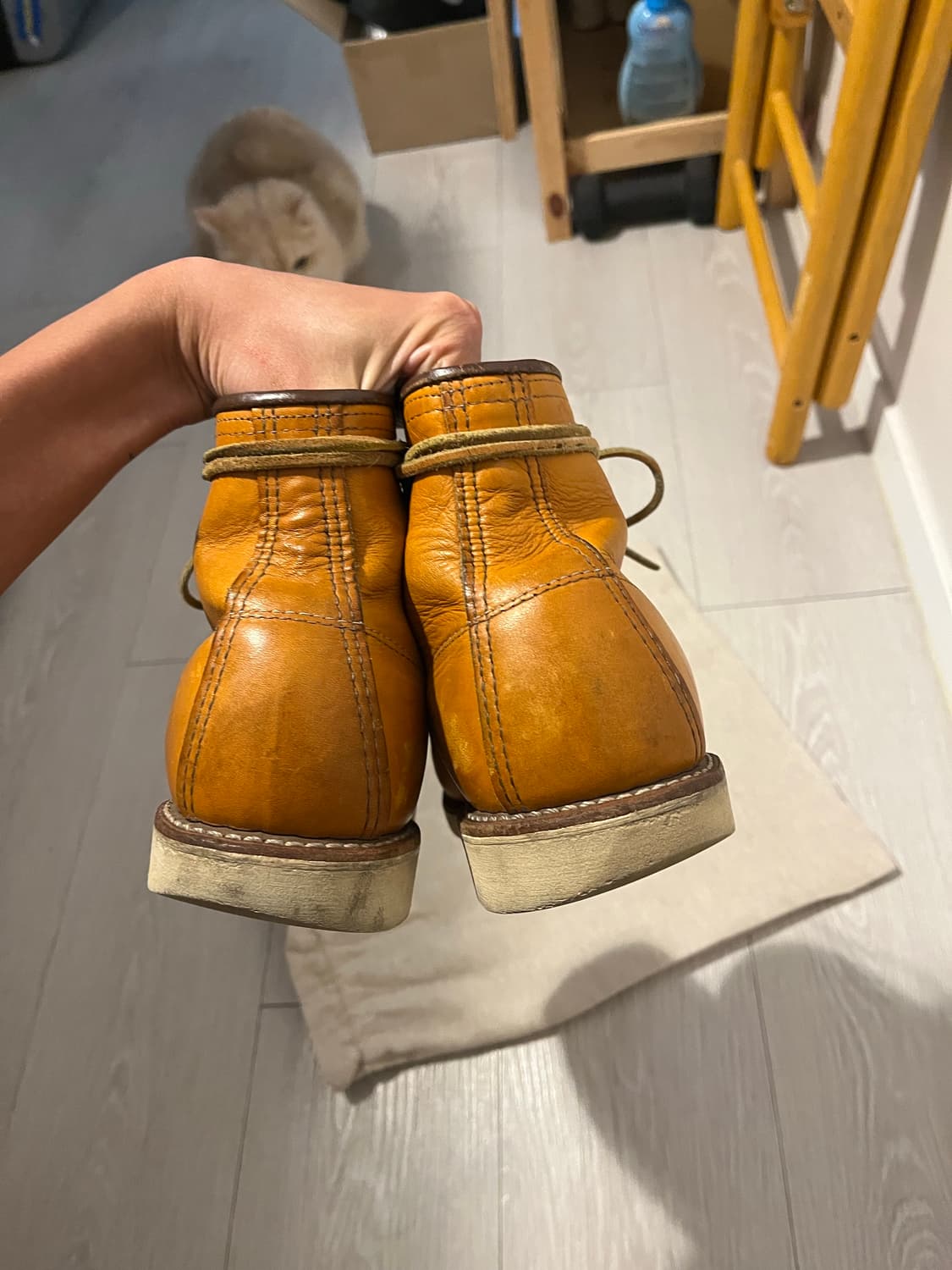 레드윙 아이리쉬세터 상품이미지7