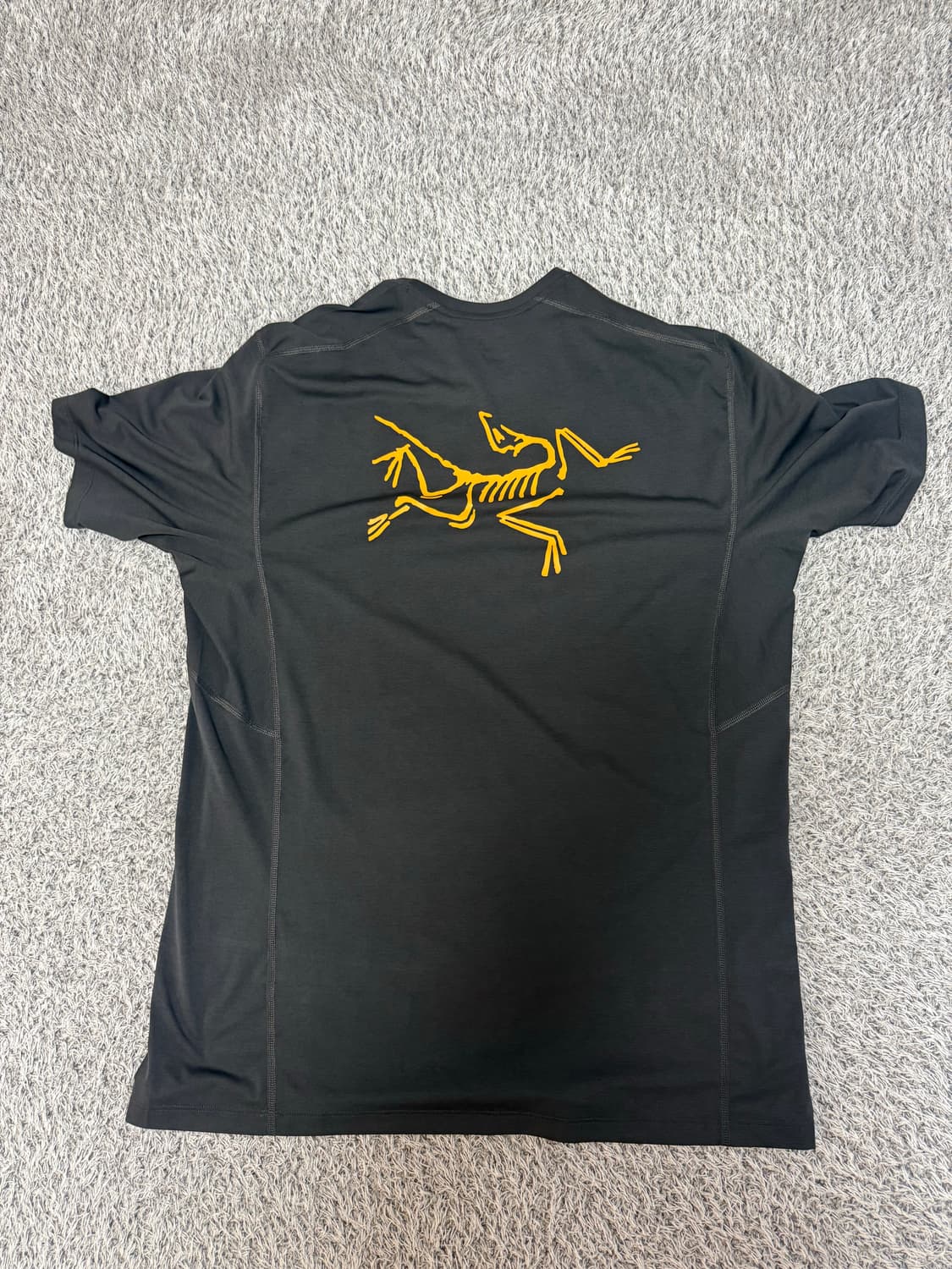 아크테릭스 모투스 아크워드  상품이미지4