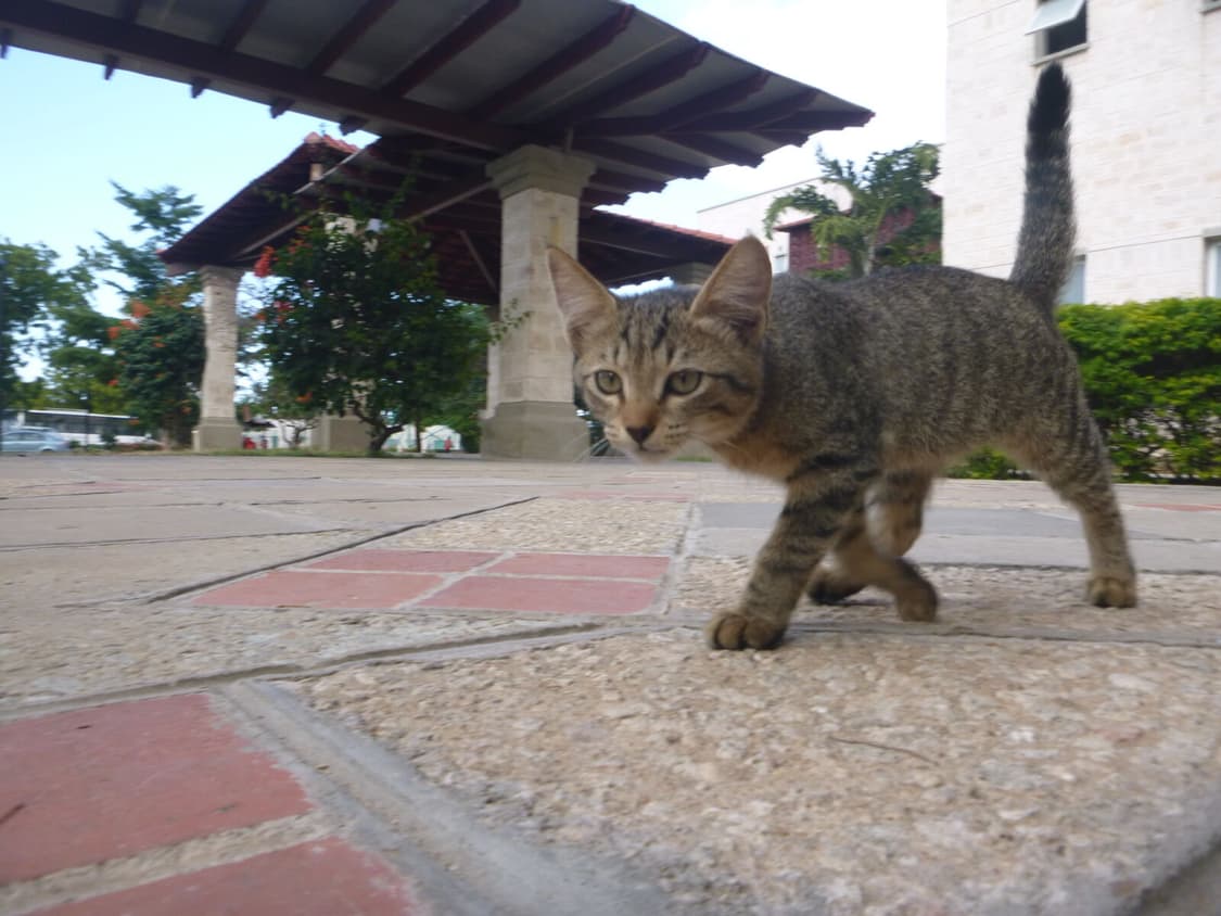 파나소닉 루믹스 Panasonic LUMIX DMC-TS30 블랙 상품이미지3