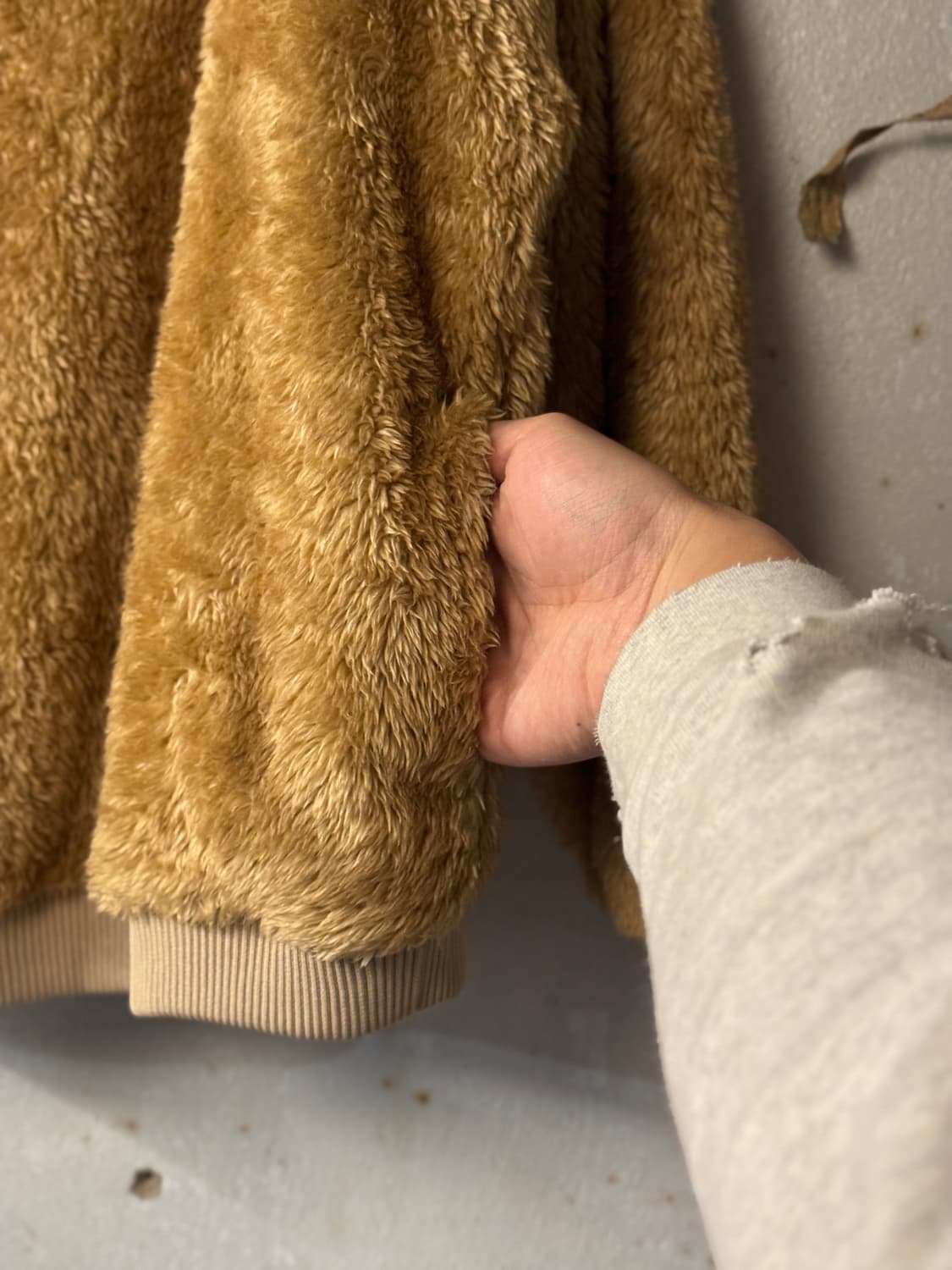 44-66 ) CHAMPION 상품이미지3