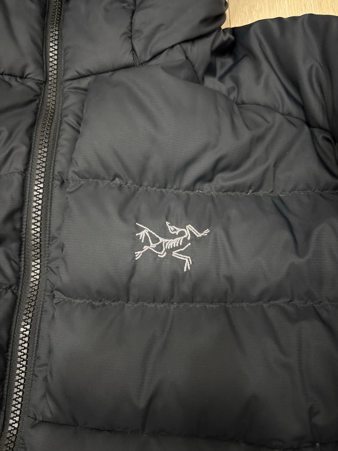 아크테릭스 토륨 후디 L 상품이미지3