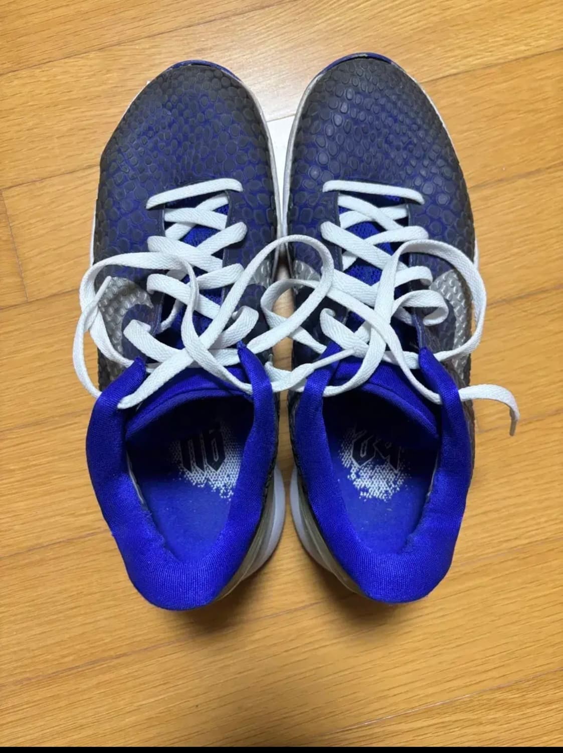 코비 6 퍼플 그라디언트 280 상품이미지2