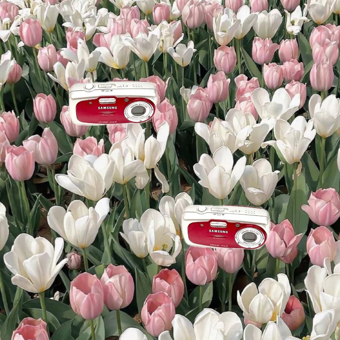강경민님디카&초희귀!) Samsung KENOX U-CA5 디카 카메라 상품이미지1