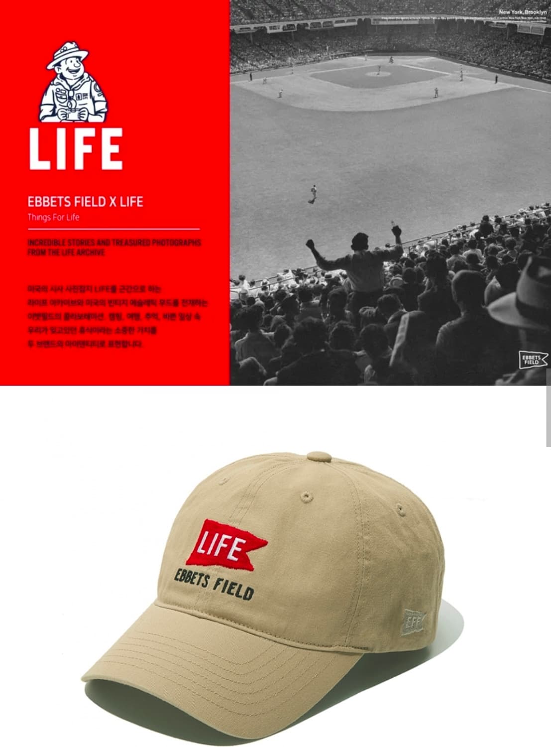 이벳필드 x LIFE 플레그 베이스볼 볼캡 Free 상품이미지2