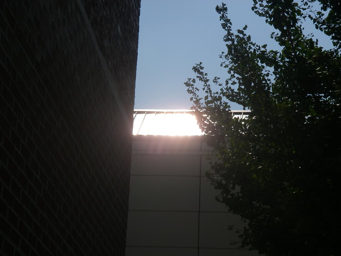 펜탁스 옵티오 w10 (민트) 작례O 상품이미지2