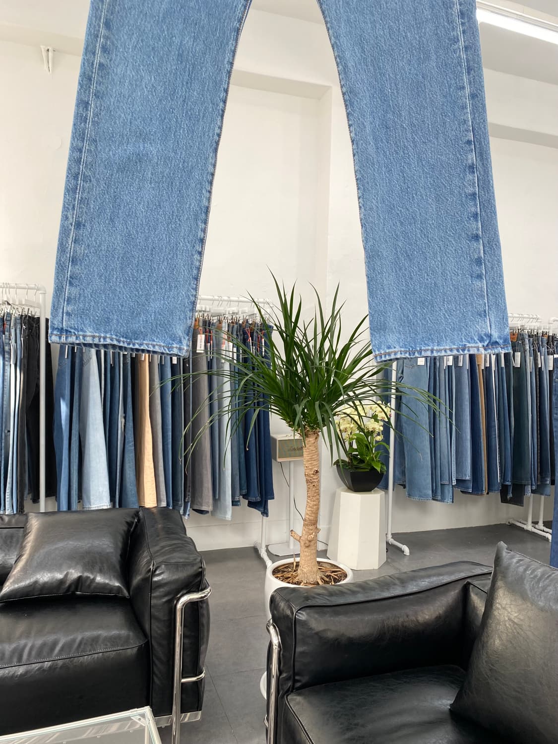 Levis501 Straight Fit 00s 28사이즈 a4855 상품이미지3