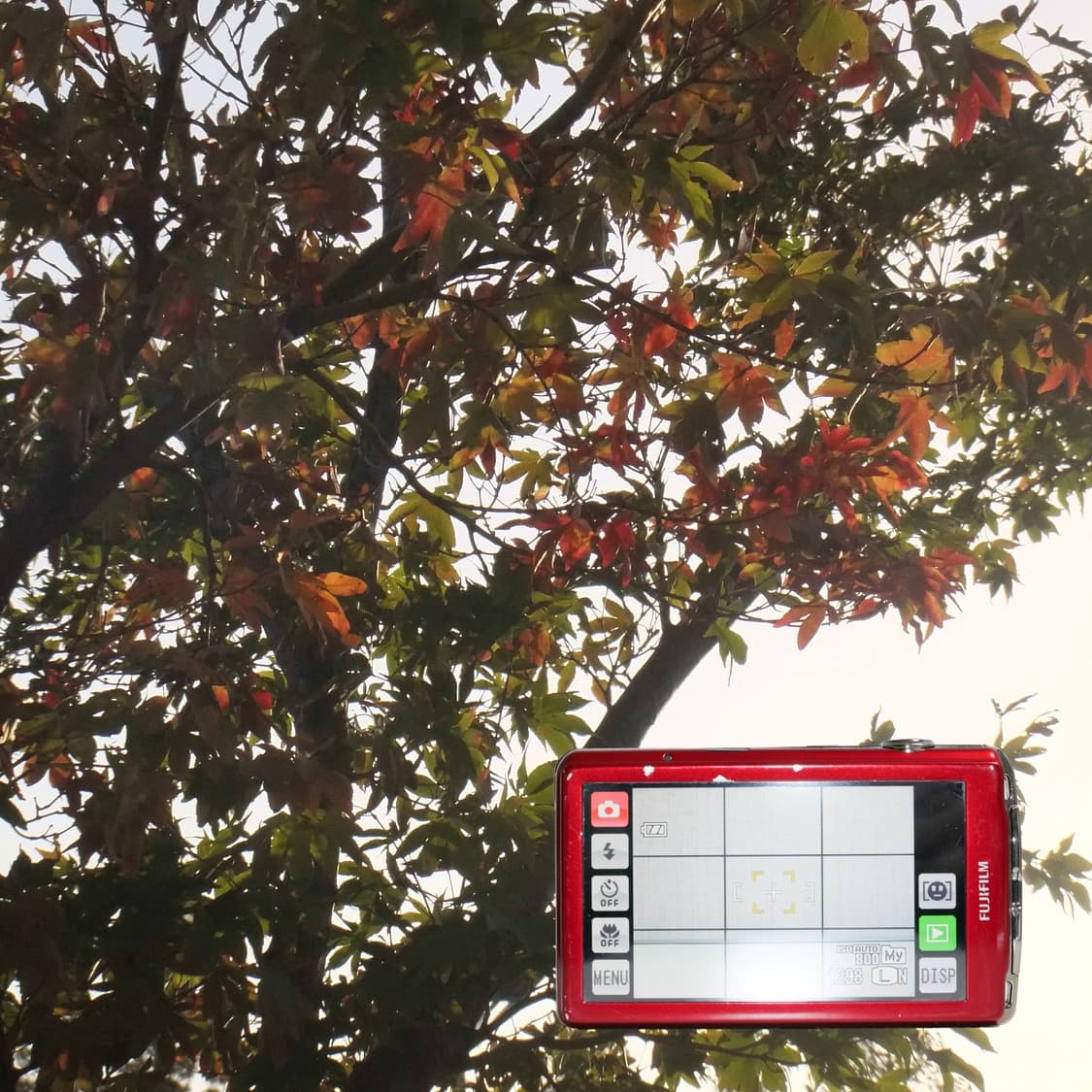 Finepix Z800exr (A급/🎞️필름시뮬레이션) 상품이미지3