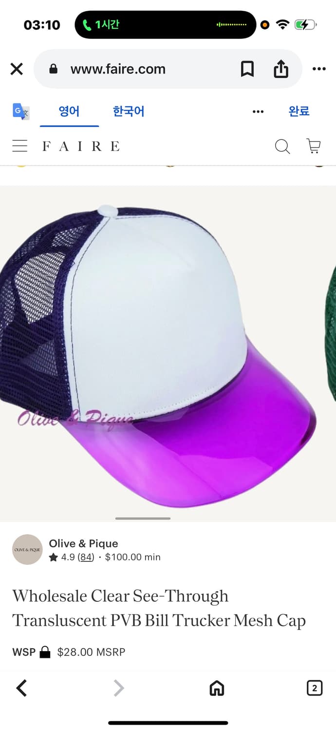 스냅백 나이키SB 클리어 스냅백 상품이미지2