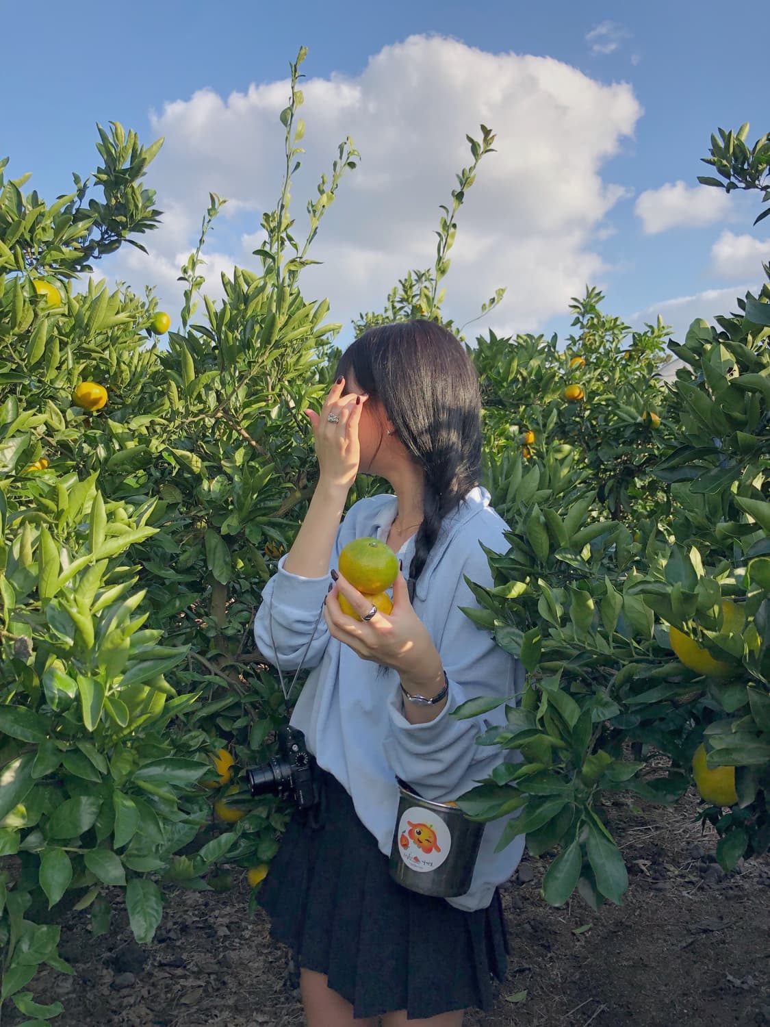 리본빛 테리 스윗셔츠 상품이미지3