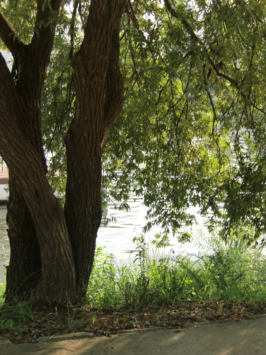 exilim h10 상품이미지6