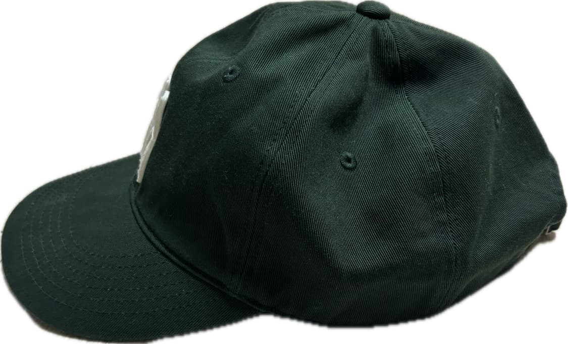 [L]그래듀에이션 픽쳐스 어게인 Japan (Green w drill) 상품이미지2