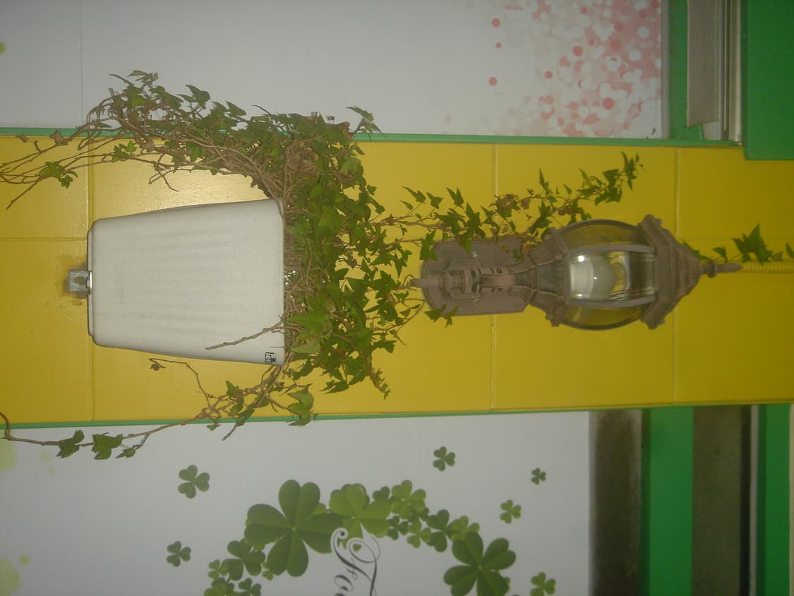 (민트급)(배터리 2개)소니 사이버샷 dsc-t1 빈티지 디지털 카메라 상품이미지10