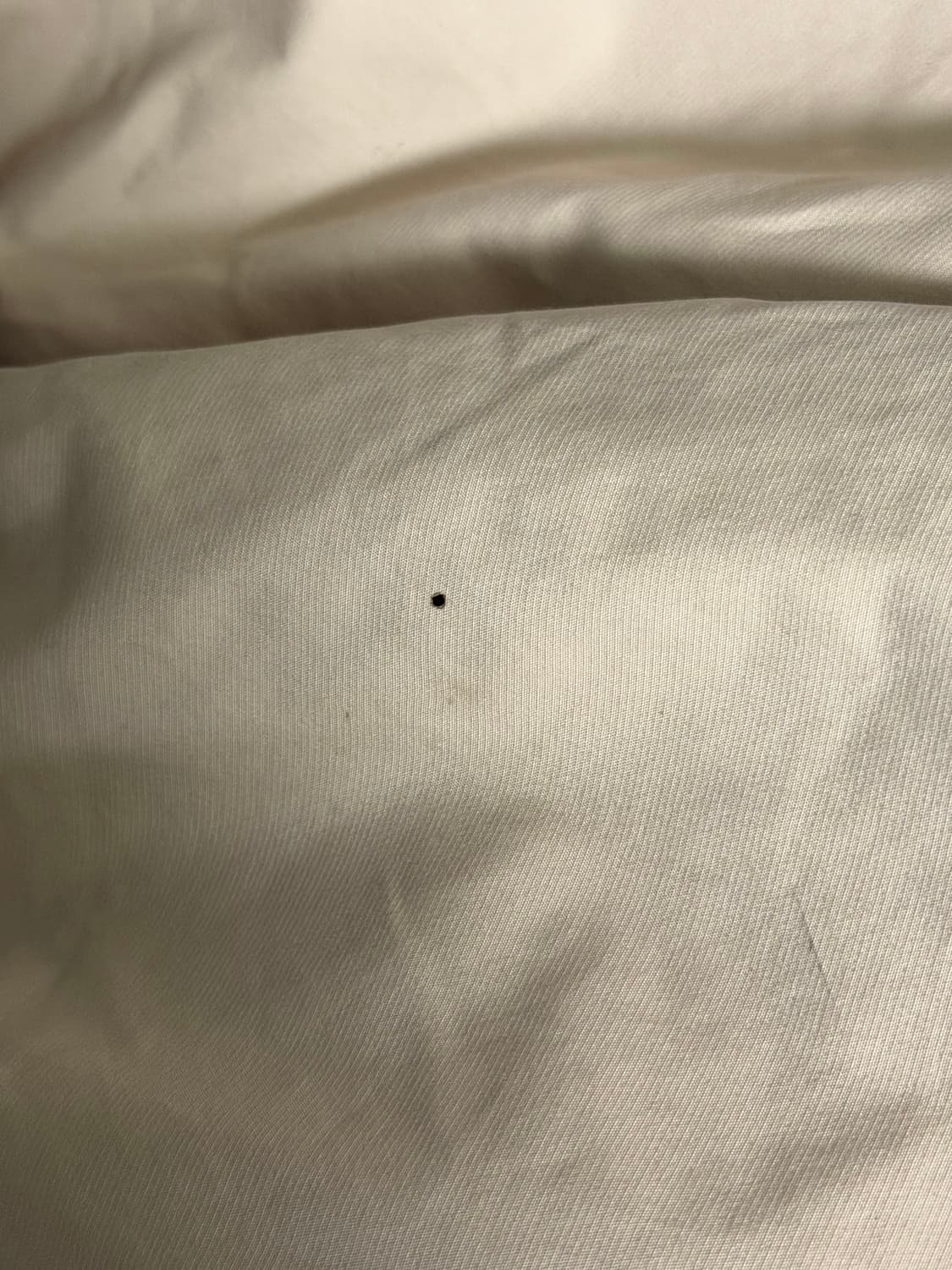 카브엠트 나이키 자켓 L 상품이미지4