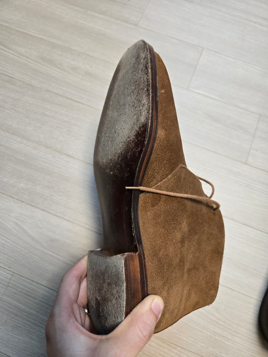 Lloyd footwear/master lloyd 스웨이드 처커 부츠 상품이미지8