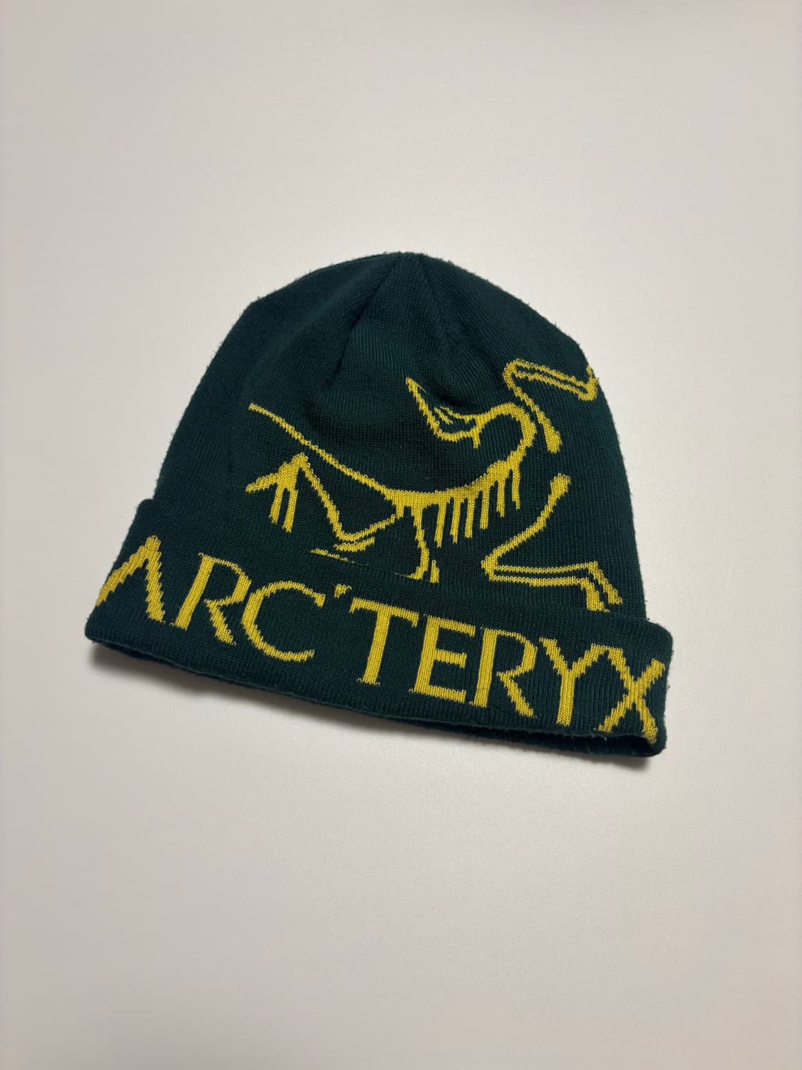 아크테릭스 비니 상품이미지1