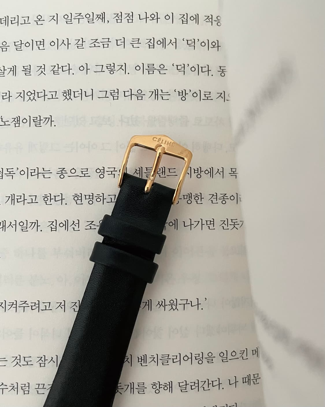 CELINE shell dial watch / 셀린느 자개 시계 상품이미지3